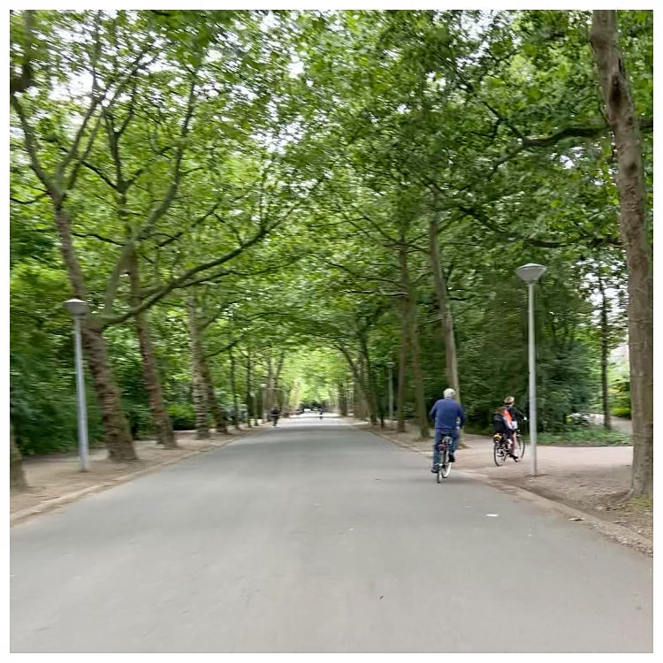 Vondelpark - Alpaca Boucle Loop