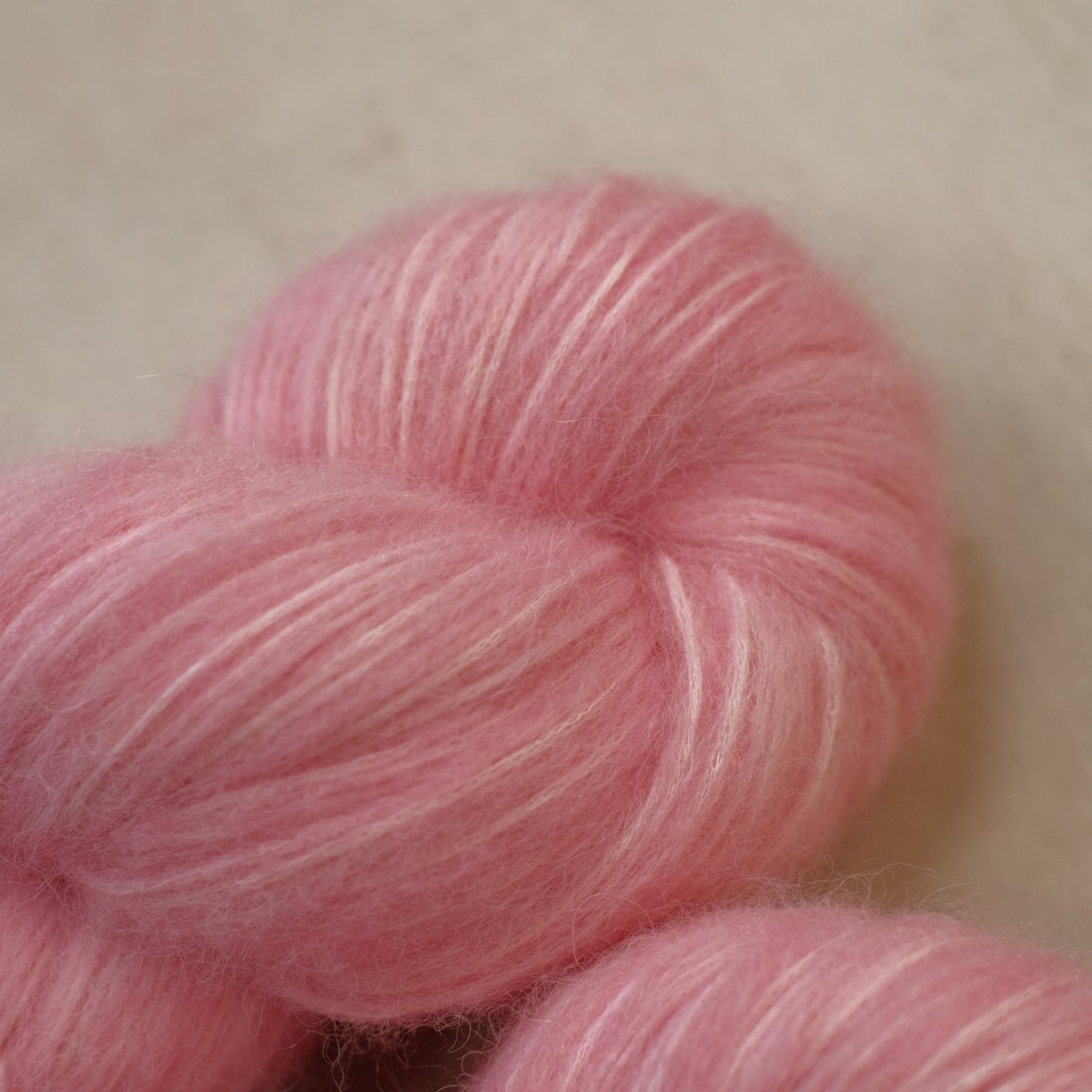 Vinoy Park : Bounce Alpaca Air