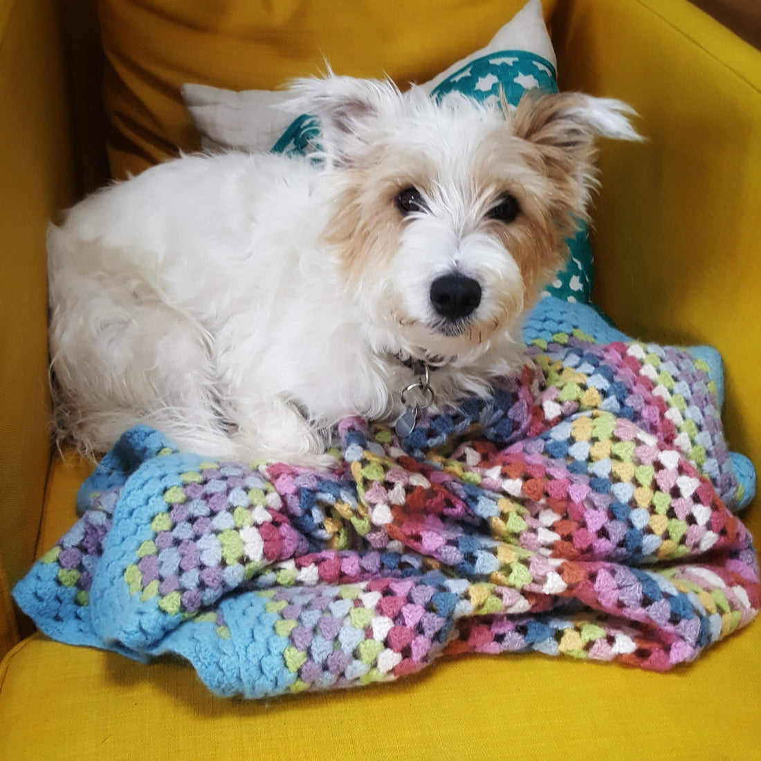 Archive: Merry Christmas 2023 from Mamie and Florrie