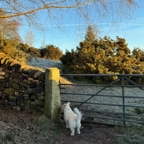 Archive: December 2023 Christmas Gifting Made Easy