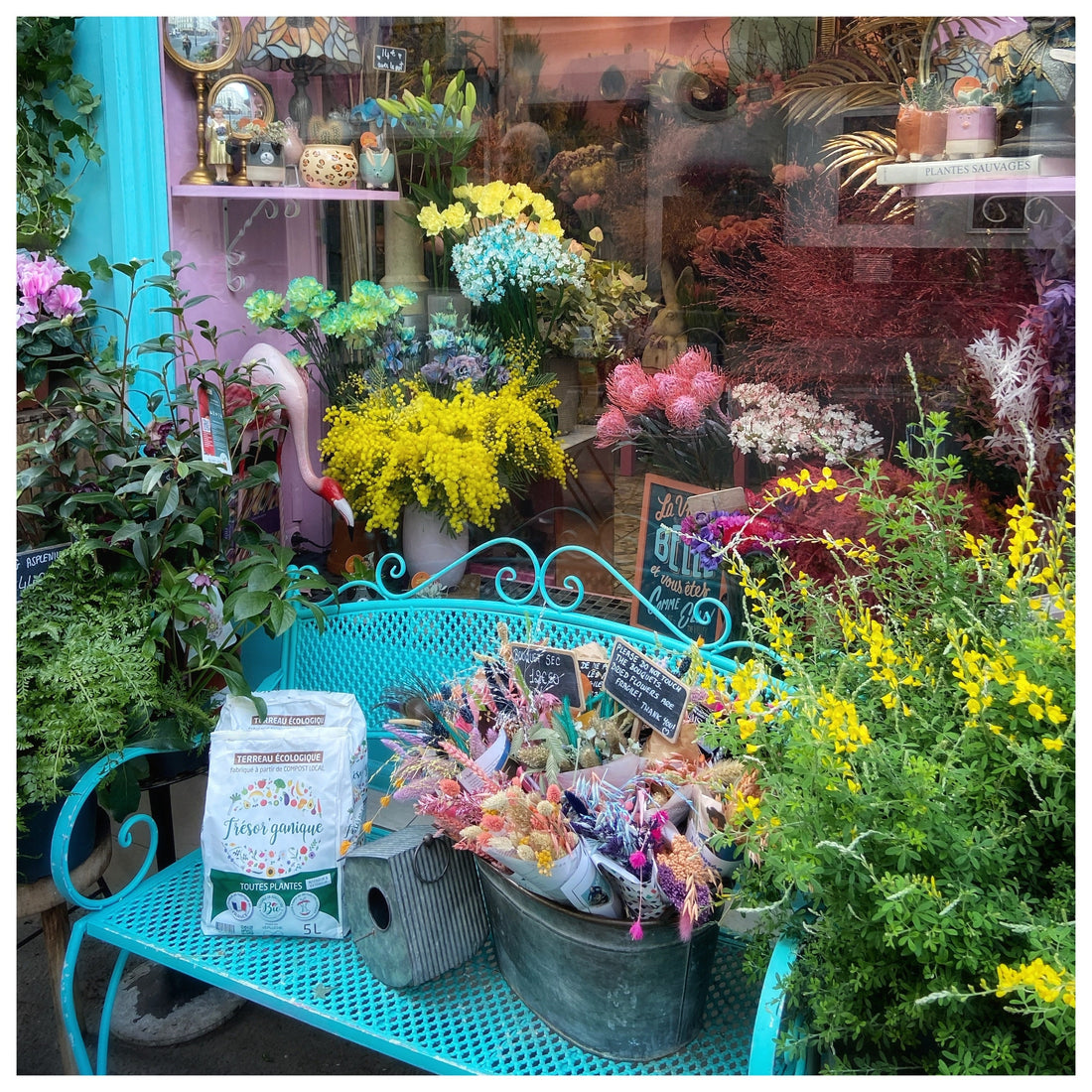 Archive: Paris Adventures!