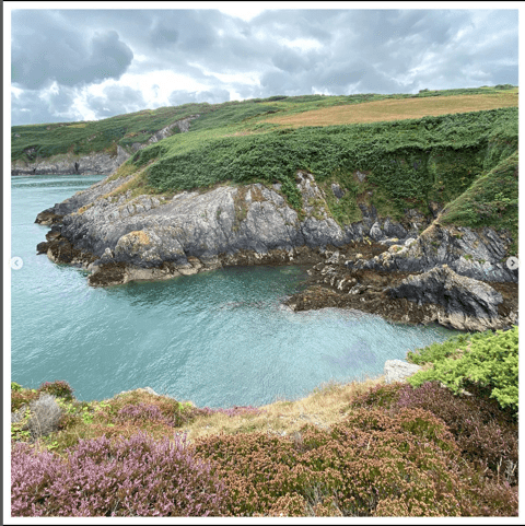 Anglesey Coastal Path - Blueface Leicester Sock