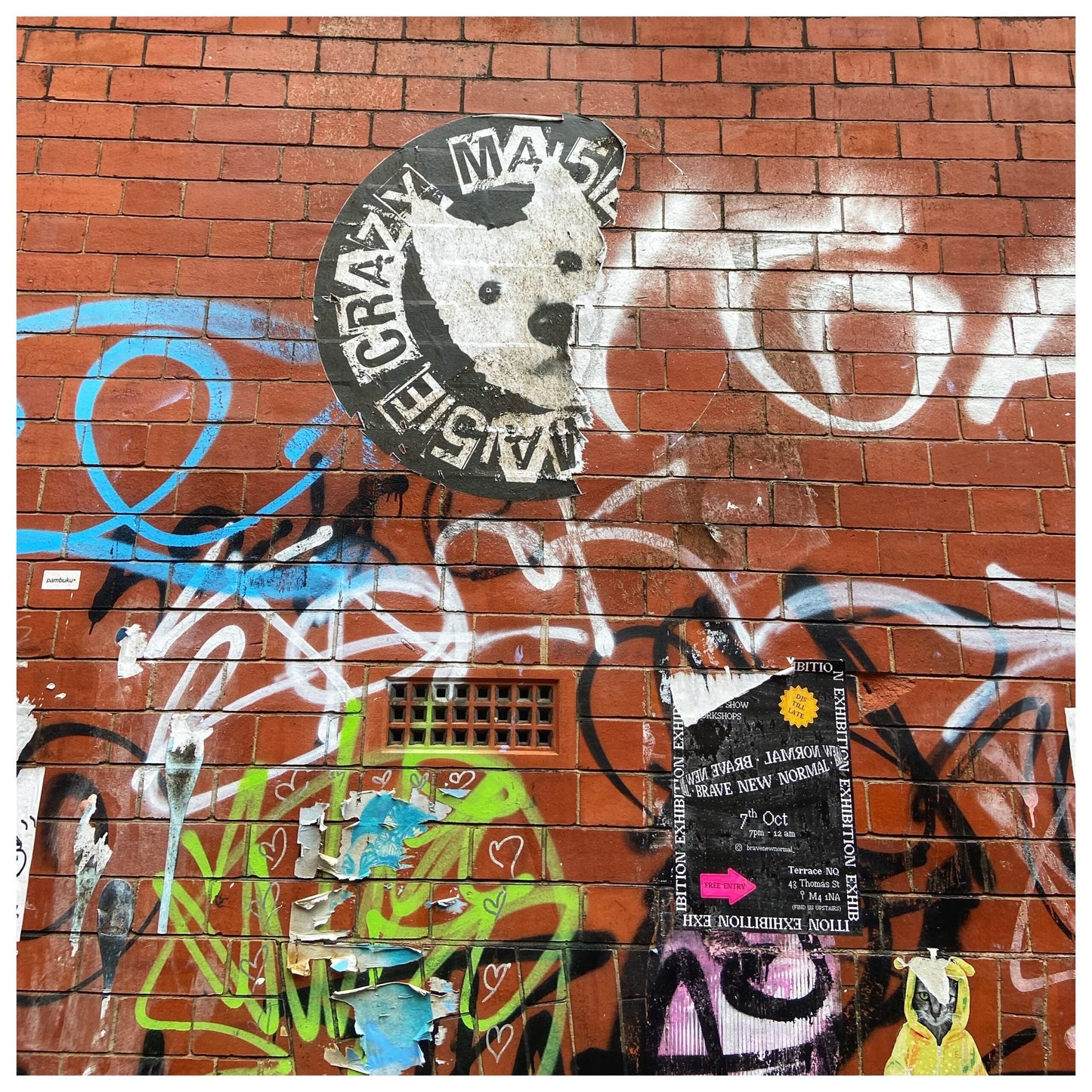 Newton Street Art – Boucle