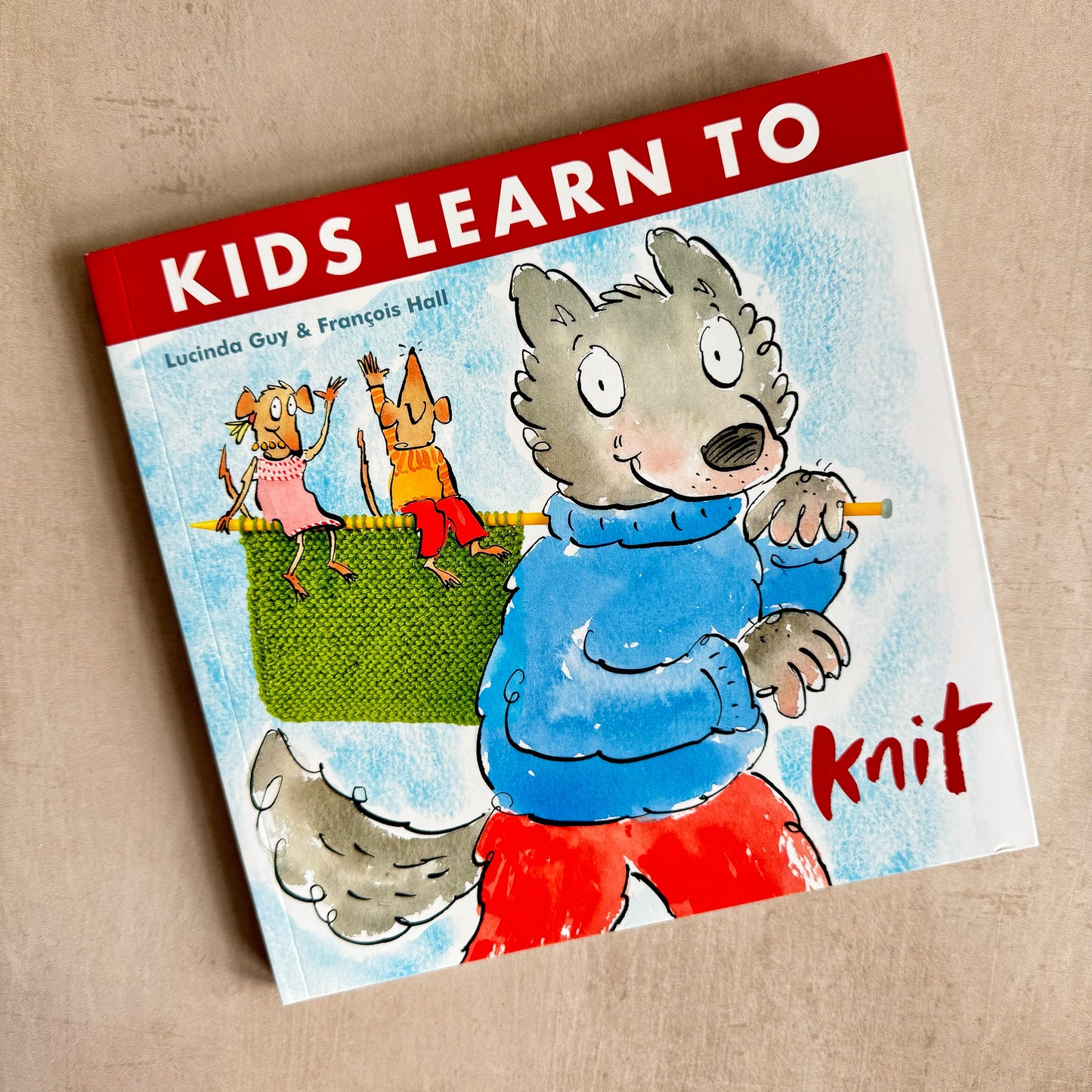 Kids Learn to Knit by Lucinda Guy