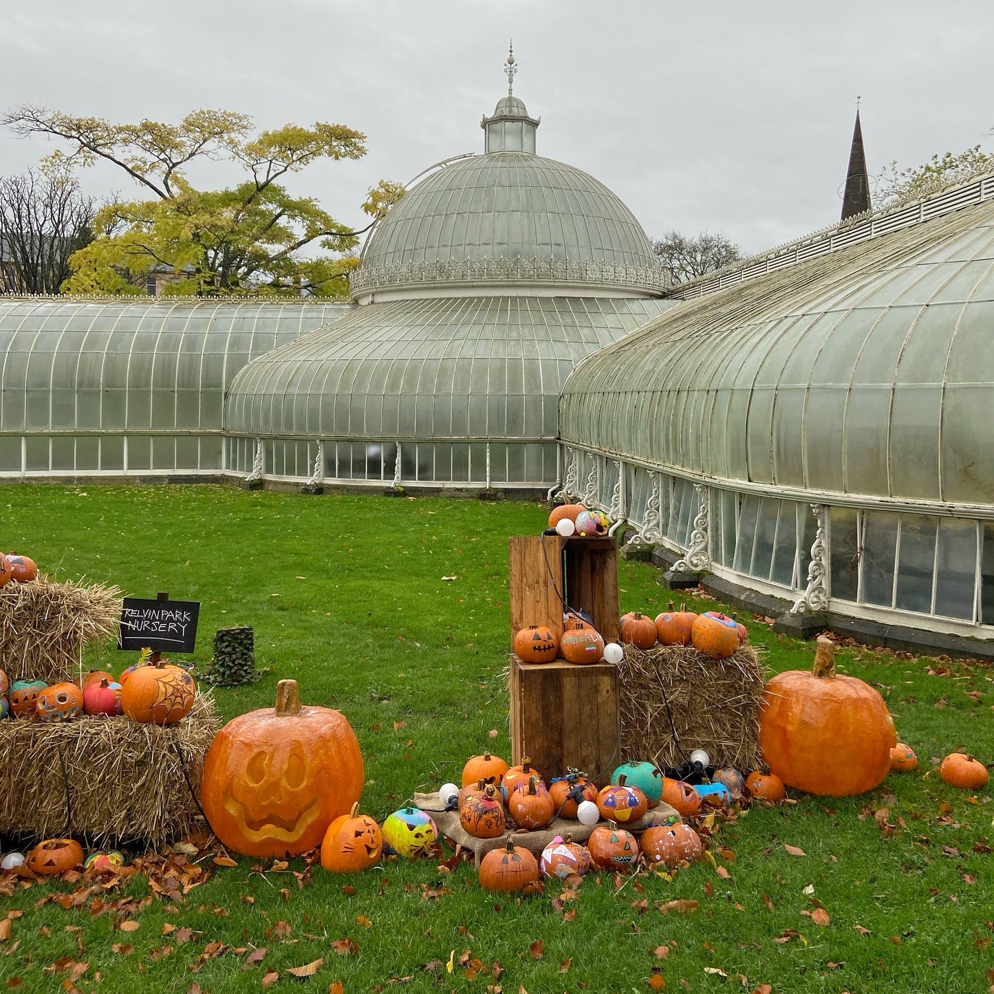 Pumpkins at the Botanical Gardens, Glasgow  - Adventure Sock