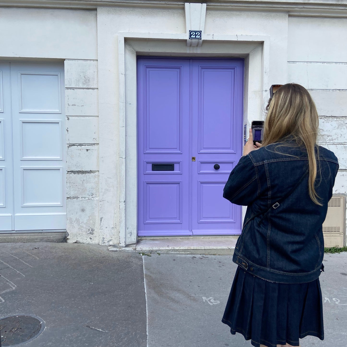 That Lilac Door in Montmartre - Blue Faced Leicester DK