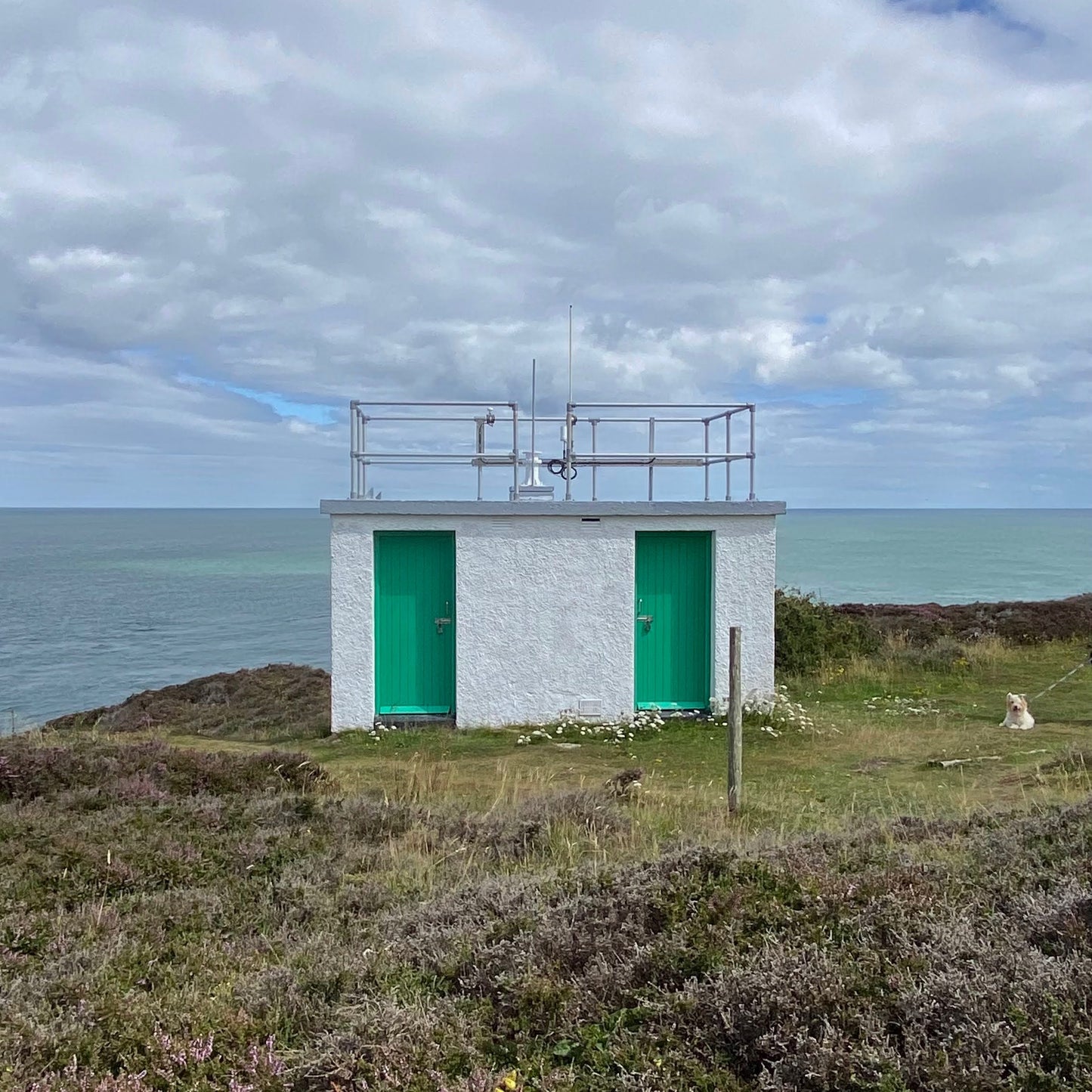 Point Lynas Lighthouse - Merino Singler