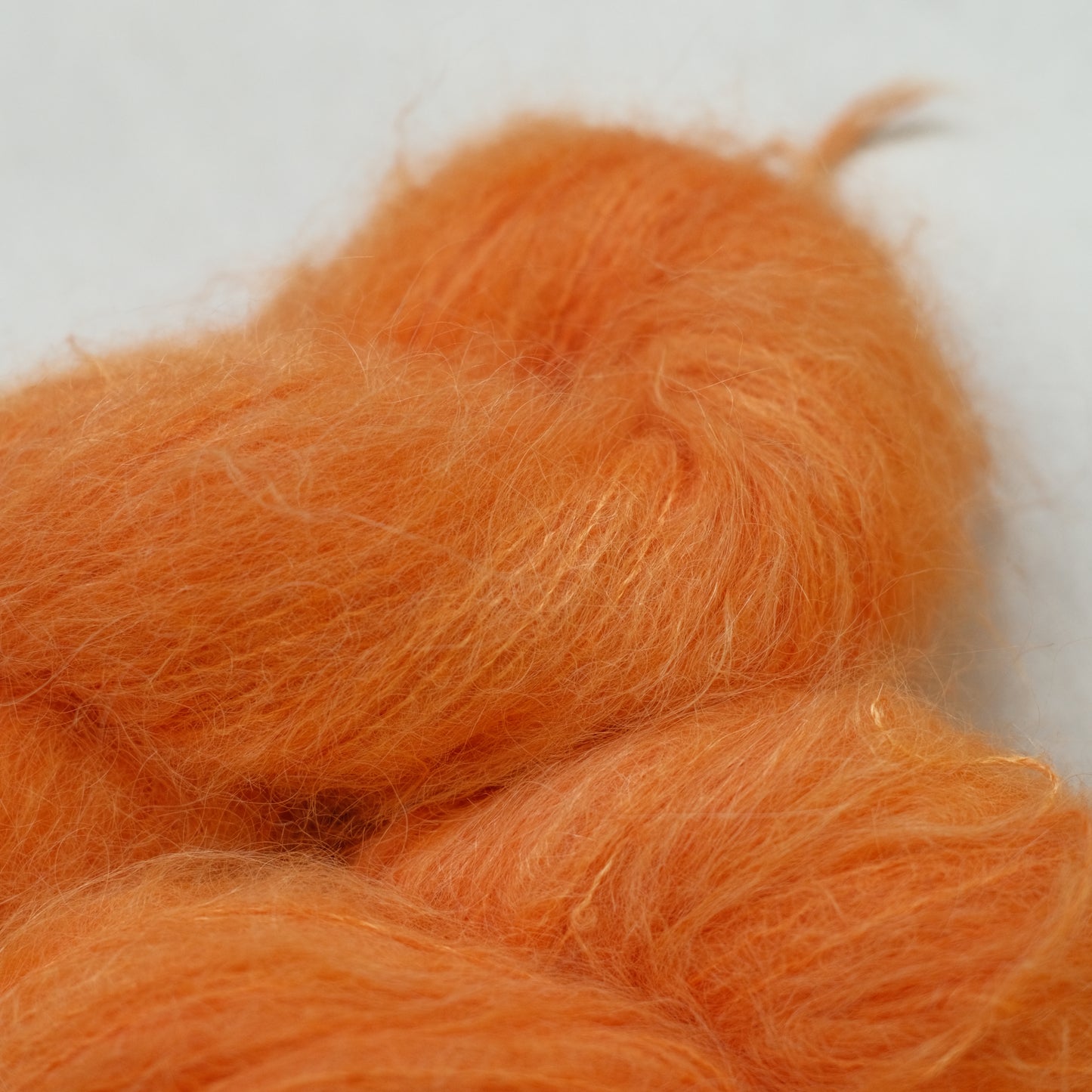 Pumpkins at the Botanical Gardens - Suri Alpaca Fluff