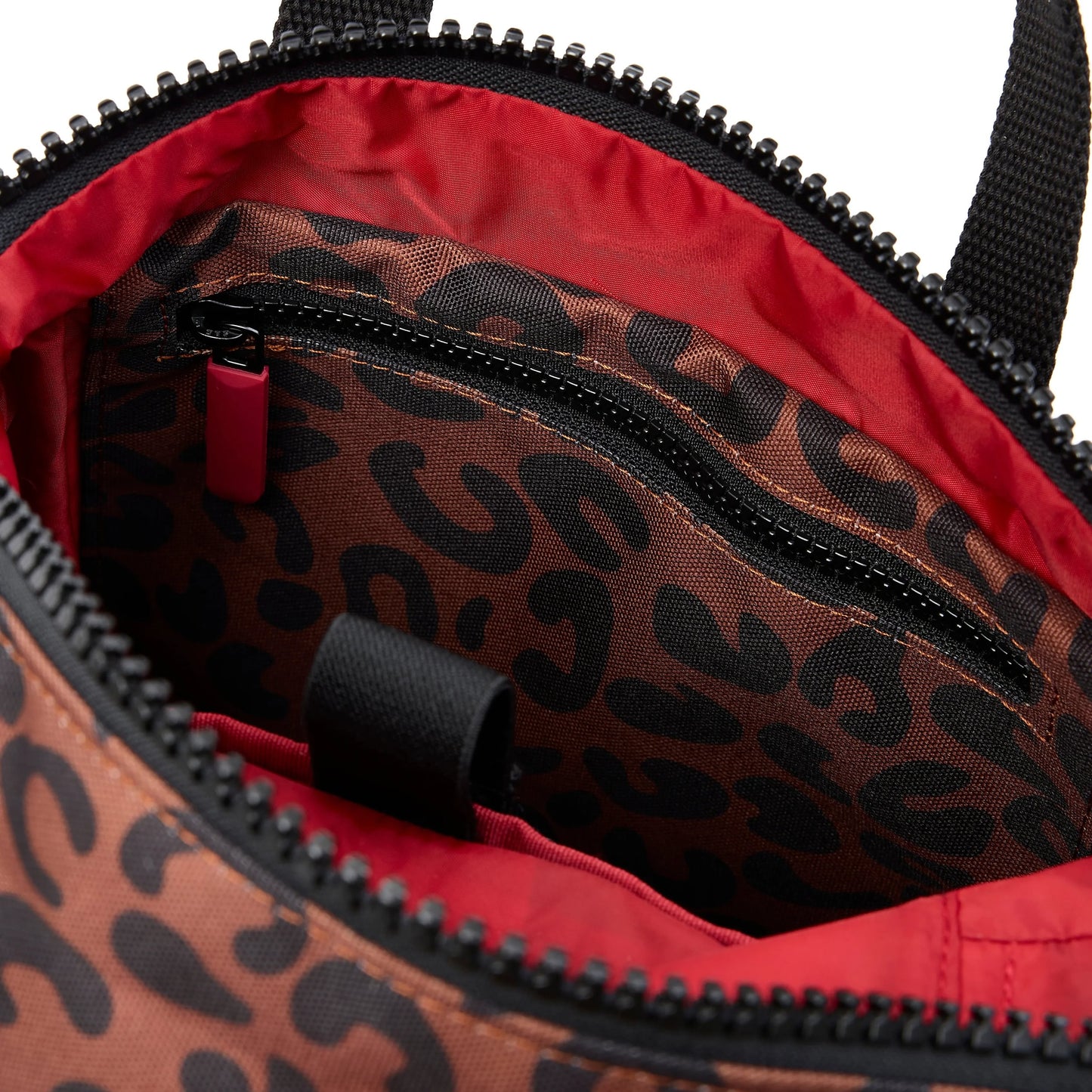 Canfield B - Medium Scarlet Leopard