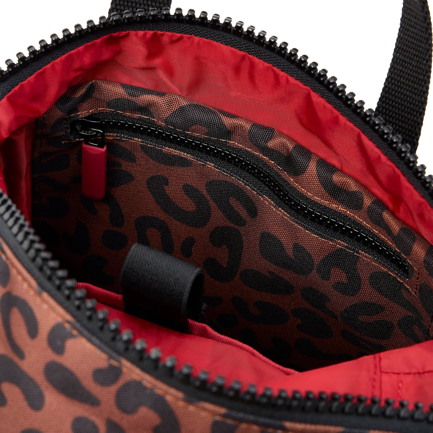 Canfield B - Small Scarlet Leopard