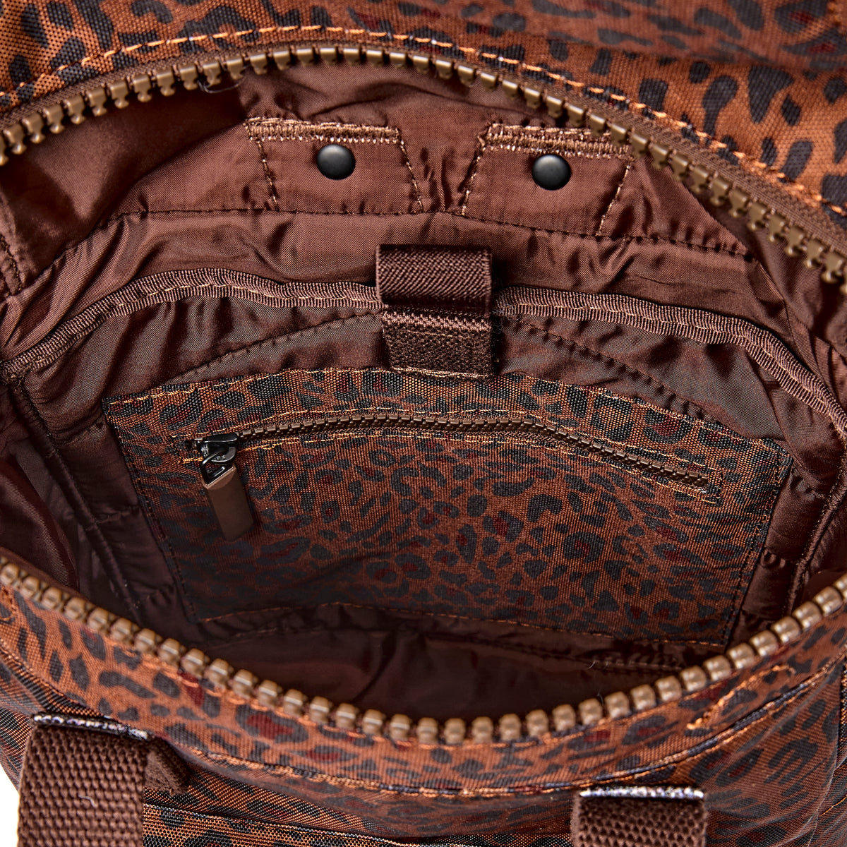 Canfield B - Small Mini Leopard